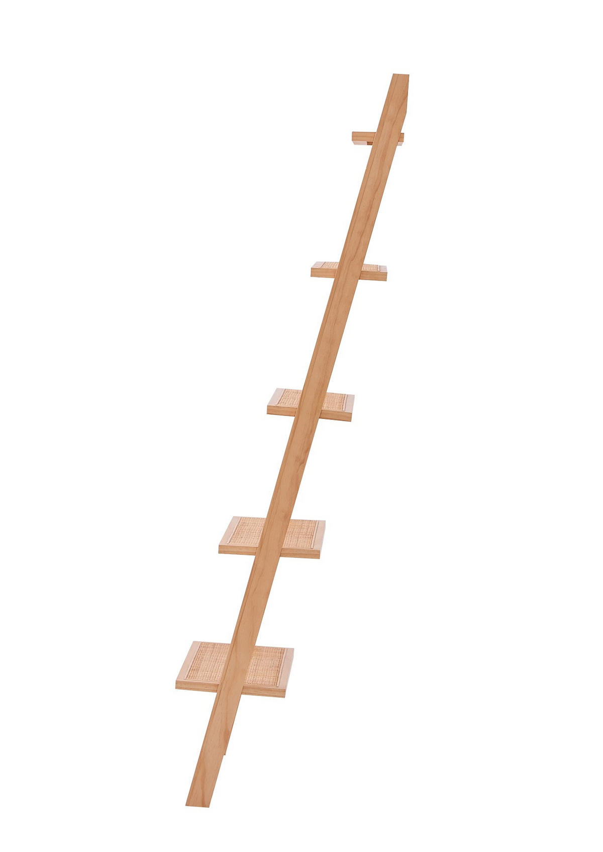 REGAL Braun - Braun, Holz (55.5/157/49cm) - Nordlys