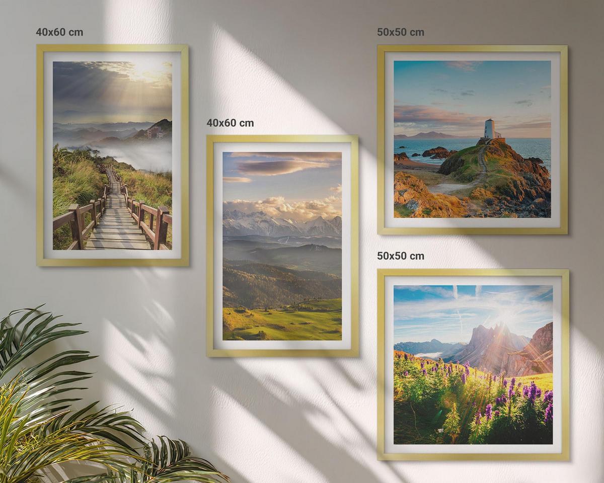 BILDER SET 4er Set - 50x50 cm & 40x60 cm Goldrahmen - Bergblumen Himmelsweg - Goldfarben, Kunststoff (50/50cm) - TULUP