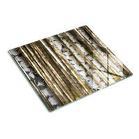 GLASPLATTE 60x52 cm Birken - Weiß, Glas (60/0.4/52cm) - TULUP