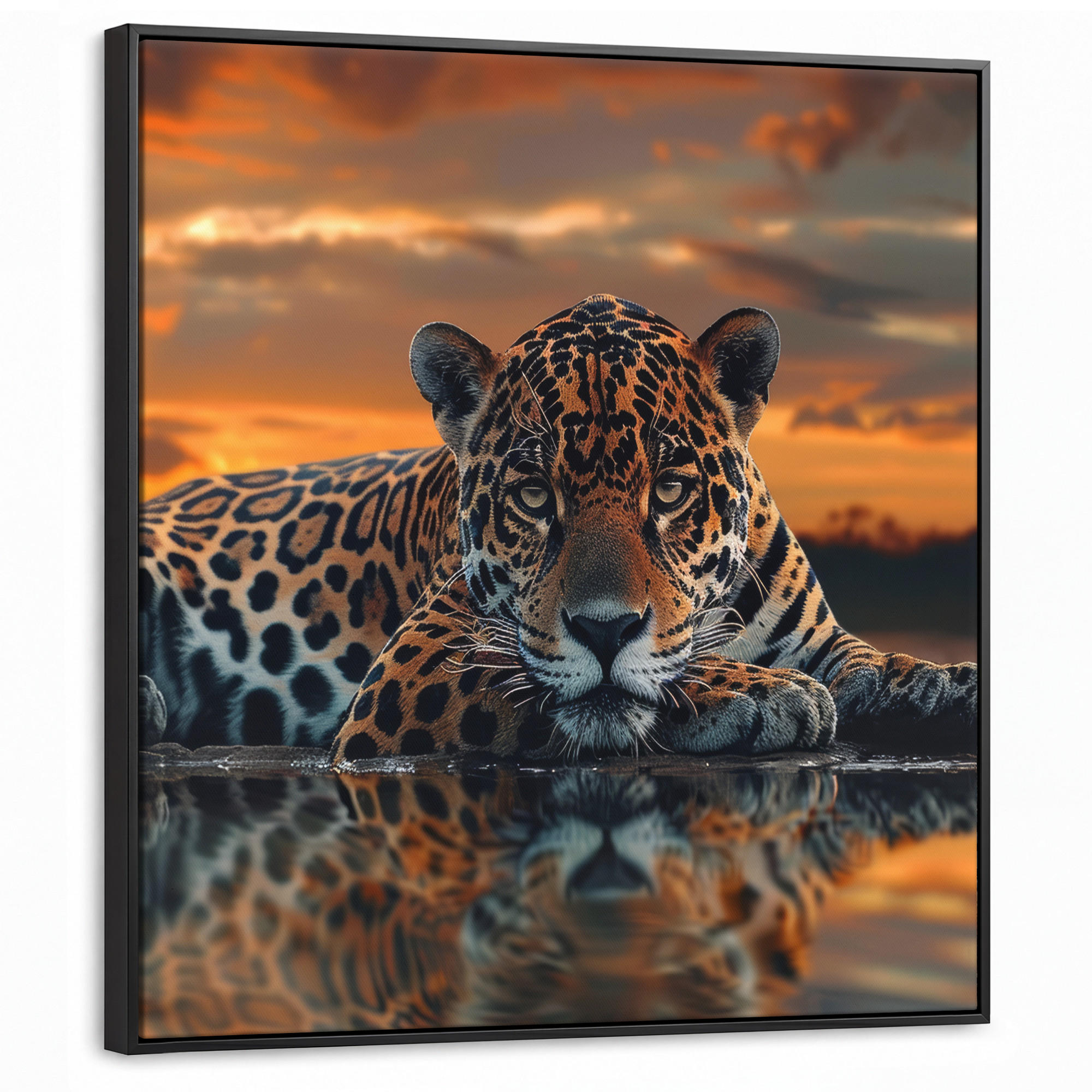 LEINWAND Bilder mit Rahmen - Natur - Leopard - Tier - Sonnenuntergang - Modern - 90x90 - Orange, Textil (90/90cm) - MuchoWow