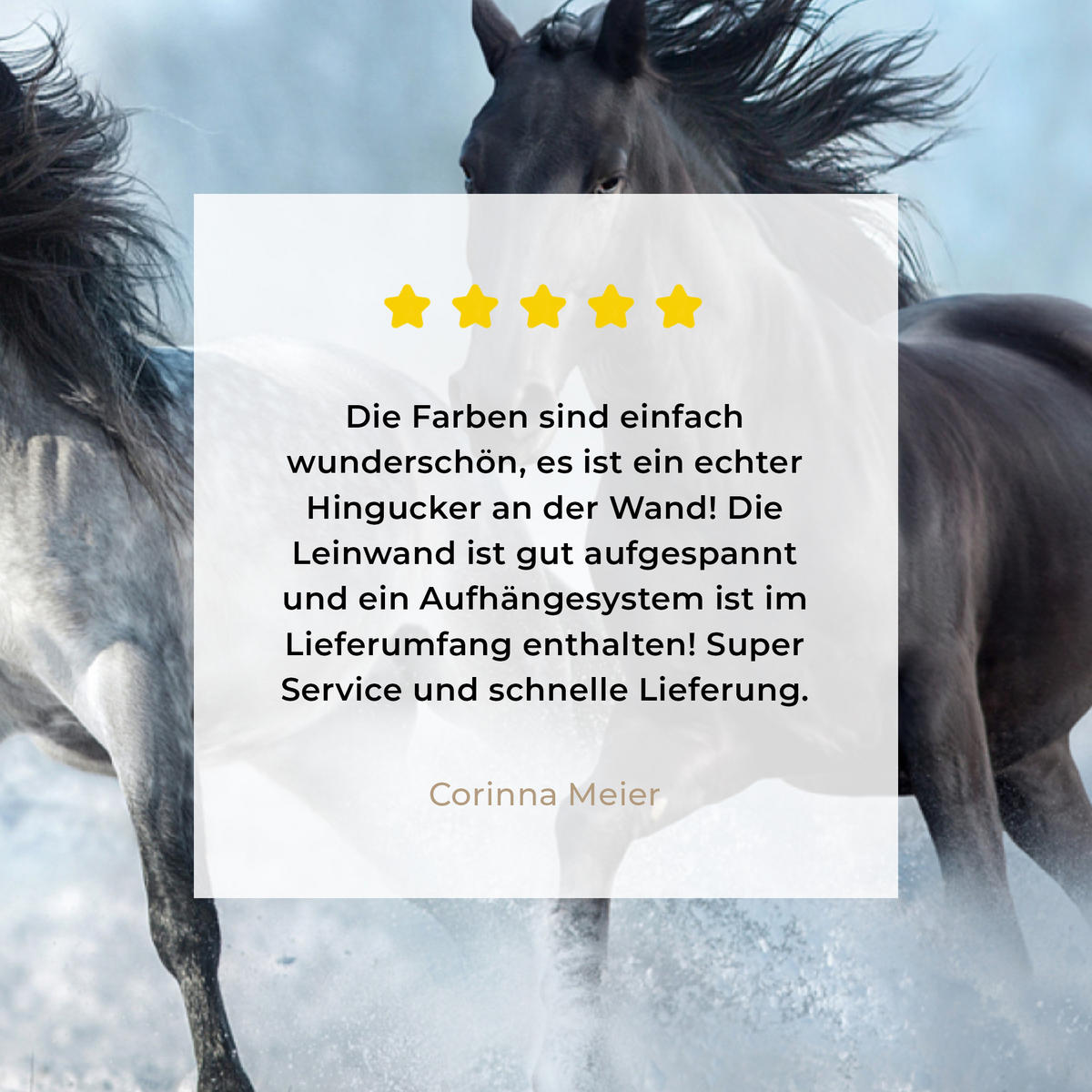 LEINWANDBILD Pferde - Winter - Tiere - Natur - Schnee 60x80 cm - Anthrazit, Textil (60/80cm) - MuchoWow