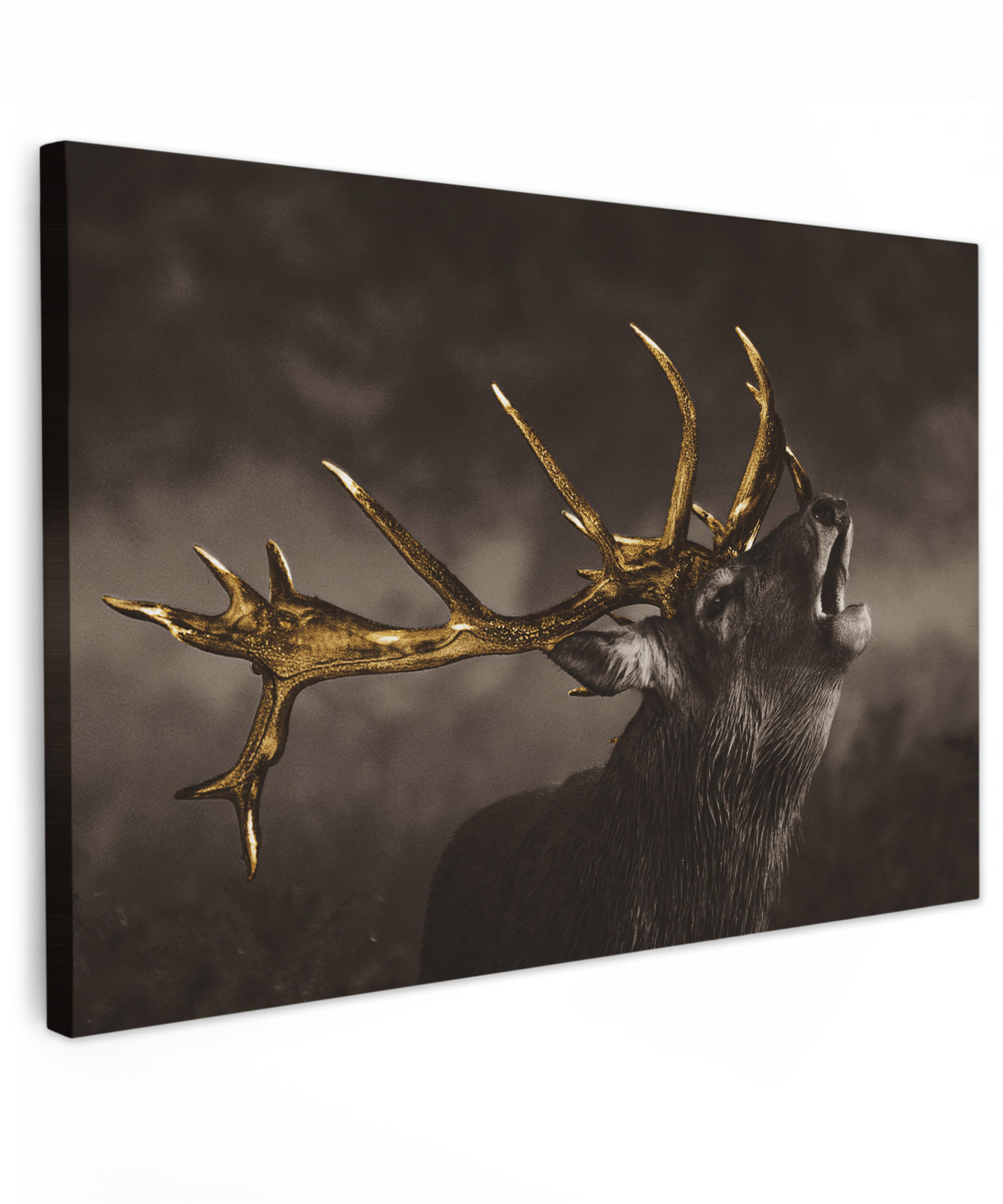 LEINWANDBILD Rotwild - Schwarz - Gold Wohnzimmer 120x80 cm - Braun, Textil (120/80cm) - MuchoWow