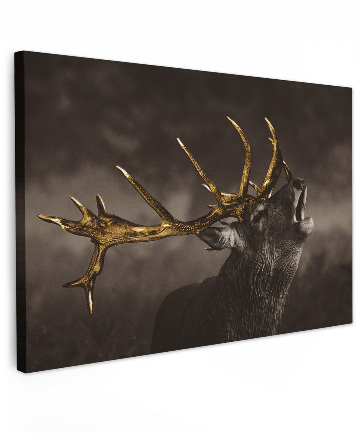 LEINWANDBILD Rotwild - Schwarz - Gold Groß 140x90 cm - Braun, Textil (140/90cm) - MuchoWow