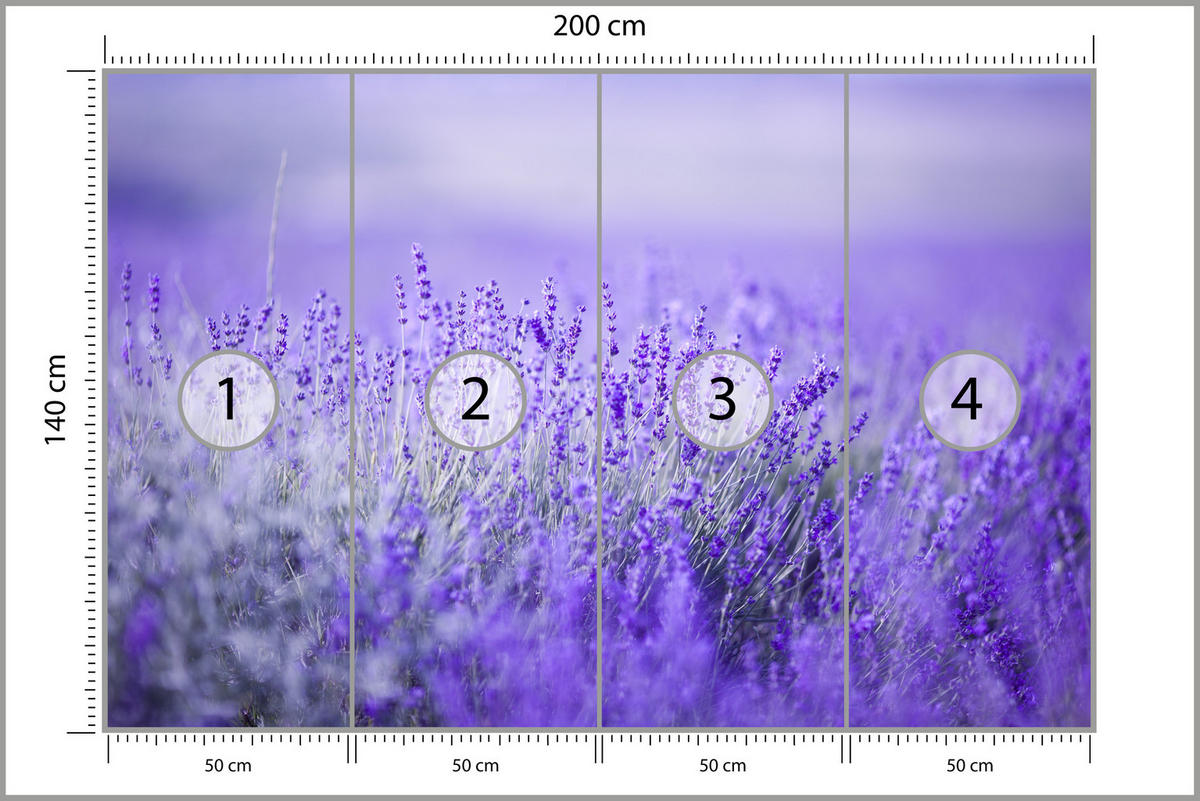 FOTOTAPETA Pre Kuchyňu Levanduľová Lúka Kvety Orgovánové Pole 200 x 140 cm - lila/sivá, papier (200/140cm) - Muralo