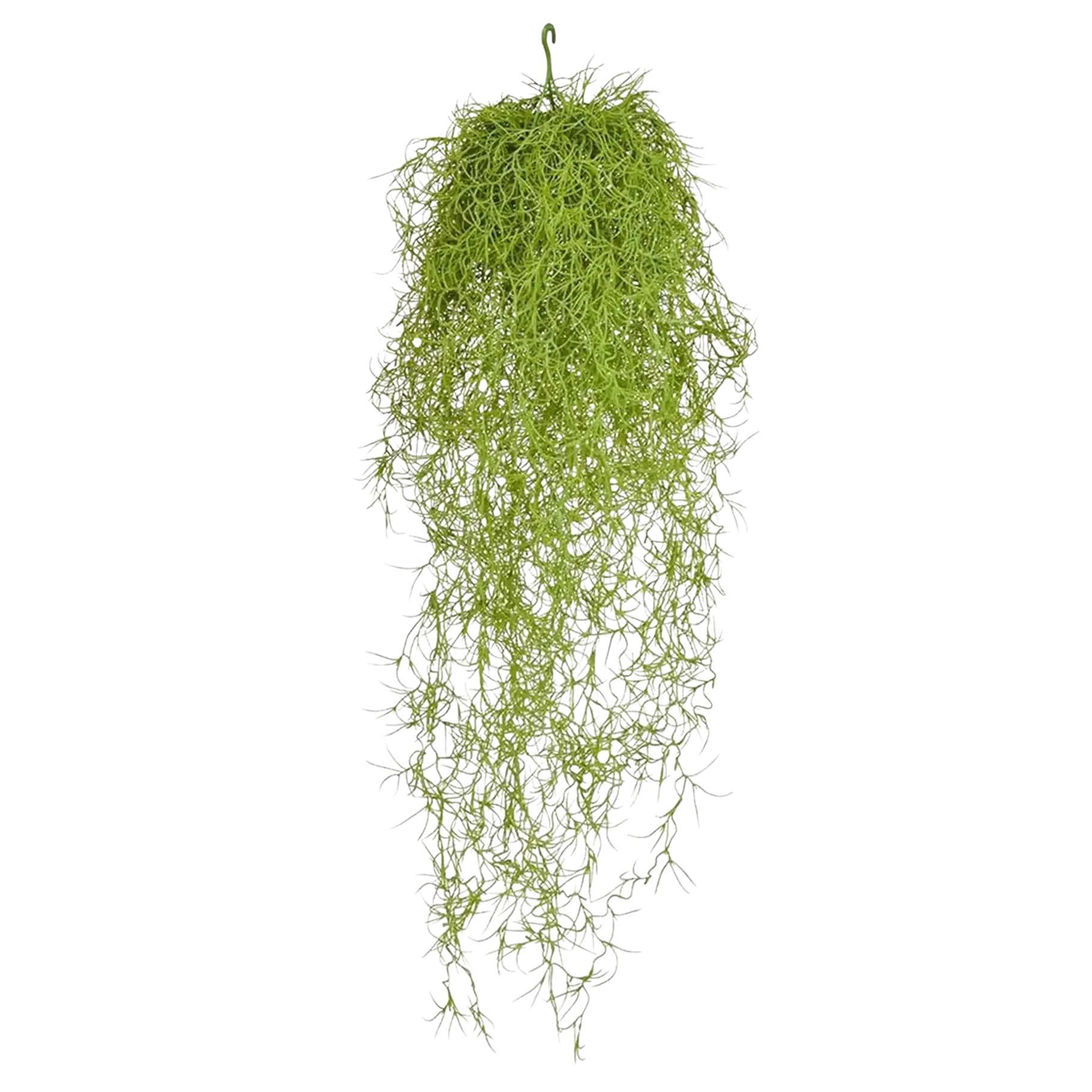 KUNSTPFLANZE Künstliche Tillandsia - Erwin 75 cm - Grün, Kunststoff (75cm) - aplanta