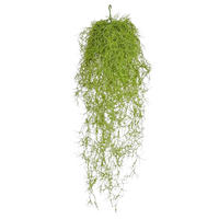 KUNSTPFLANZE Künstliche Tillandsia - Erwin 75 cm - Grün, Kunststoff (75cm) - aplanta