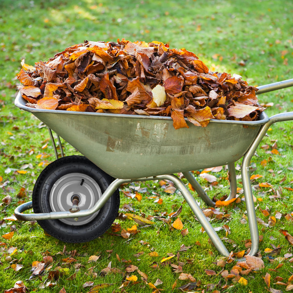 SCHUBKARRENRAD - Multicolor, Kunststoff/Metall (39/39/9cm) - Relaxdays