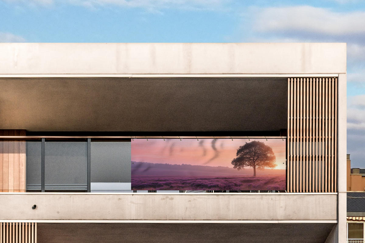 BALKON-SICHTSCHUTZ Baum - Heidekraut - Sonnenaufgang - Flieder, Kunststoff (300/95cm) - MuchoWow
