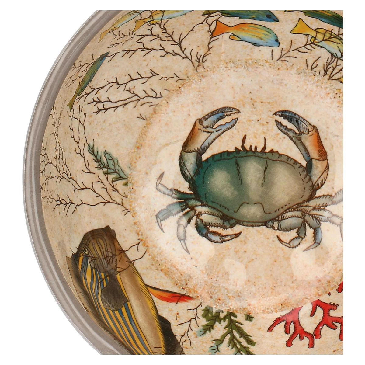 SCHALE Ø 15 cm Sea Life Set mit 2 Stück - Multicolor, Kunststoff (15cm) - Rose & Tulipani