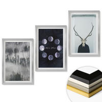 WANDBILDER 3er Set - 40x60 cm Silberner Rahmen - Waldlandschaft, Nebel, Mond, Hirschschädel - Silberfarben, Kunststoff (40/60cm) - ArtPrintCave