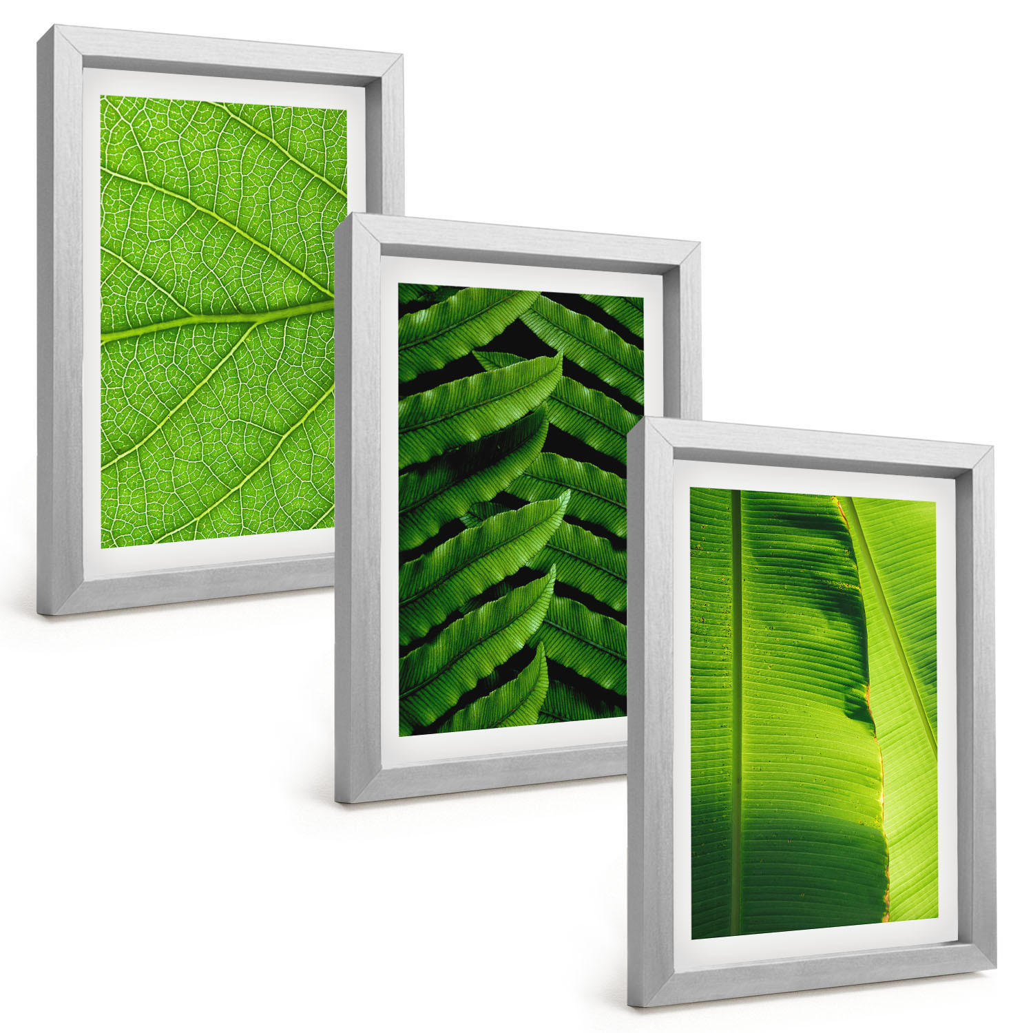 BILDER SET 3er Set - 20x30 cm Silberner Rahmen - Makrofotografie von tropischen Blättern - Silberfarben, Kunststoff (20/30cm) - TULUP
