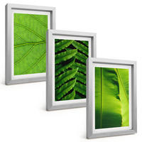 BILDER SET 3er Set - 20x30 cm Silberner Rahmen - Makrofotografie von tropischen Blättern - Silberfarben, Kunststoff (20/30cm) - TULUP