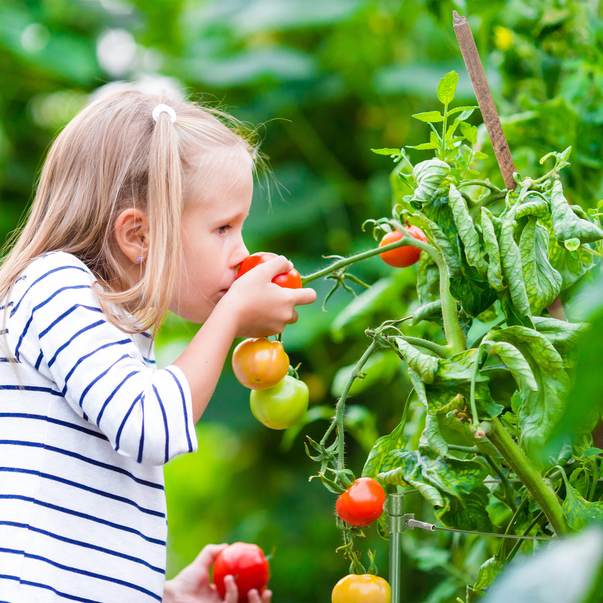 4XOPORA za rastline - zelena, kovina/umetna masa (20/60/20cm) - Relaxdays