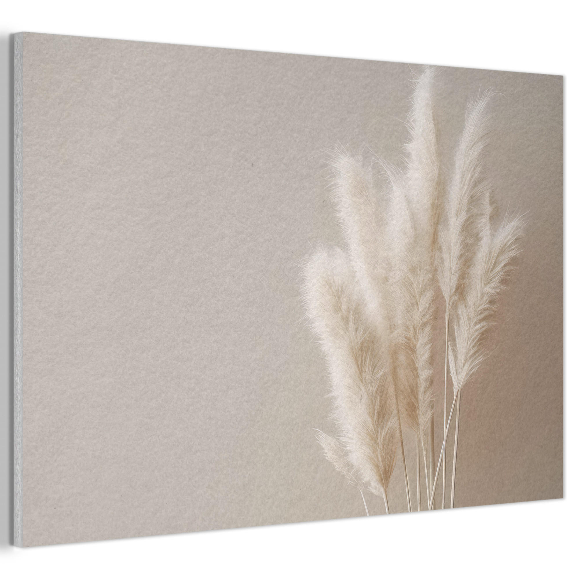 AKUSTIKBILD Pampasgras - Federn - Pastell - Weiß Akustikpaneele 90x60 cm - Naturfarben, Kunststoff (90/60/0.9cm) - MuchoWow