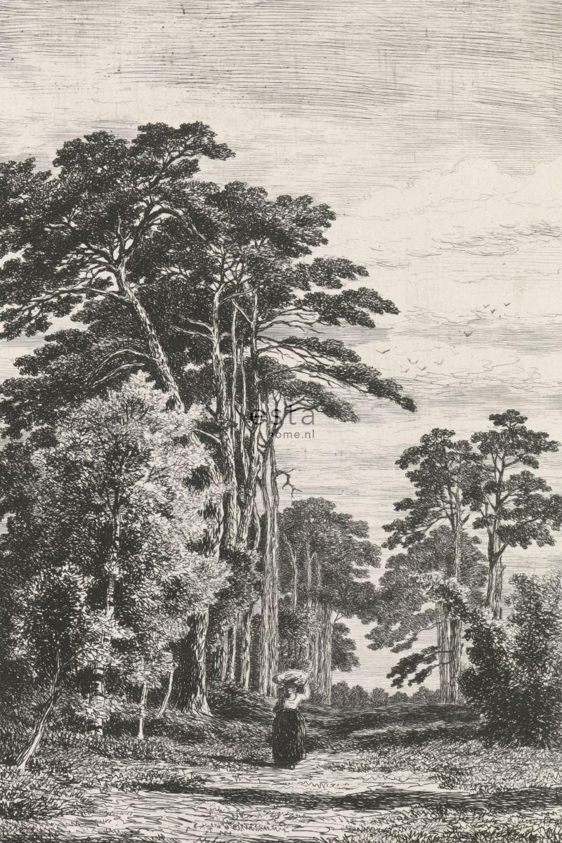 FOTOTAPETE bewaldete Landschaft 186 x 279 cm - Schwarz, Papier (186/279cm) - ESTAhome