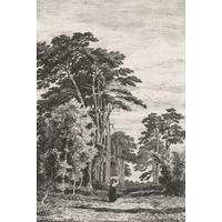 FOTOTAPETE bewaldete Landschaft 186 x 279 cm - Schwarz, Papier (186/279cm) - ESTAhome
