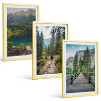 BILDER SET 3er Set - 40x60 cm Goldrahmen - Berge, Seen, Wälder, Wege - Goldfarben, Kunststoff (40/60cm) - TULUP