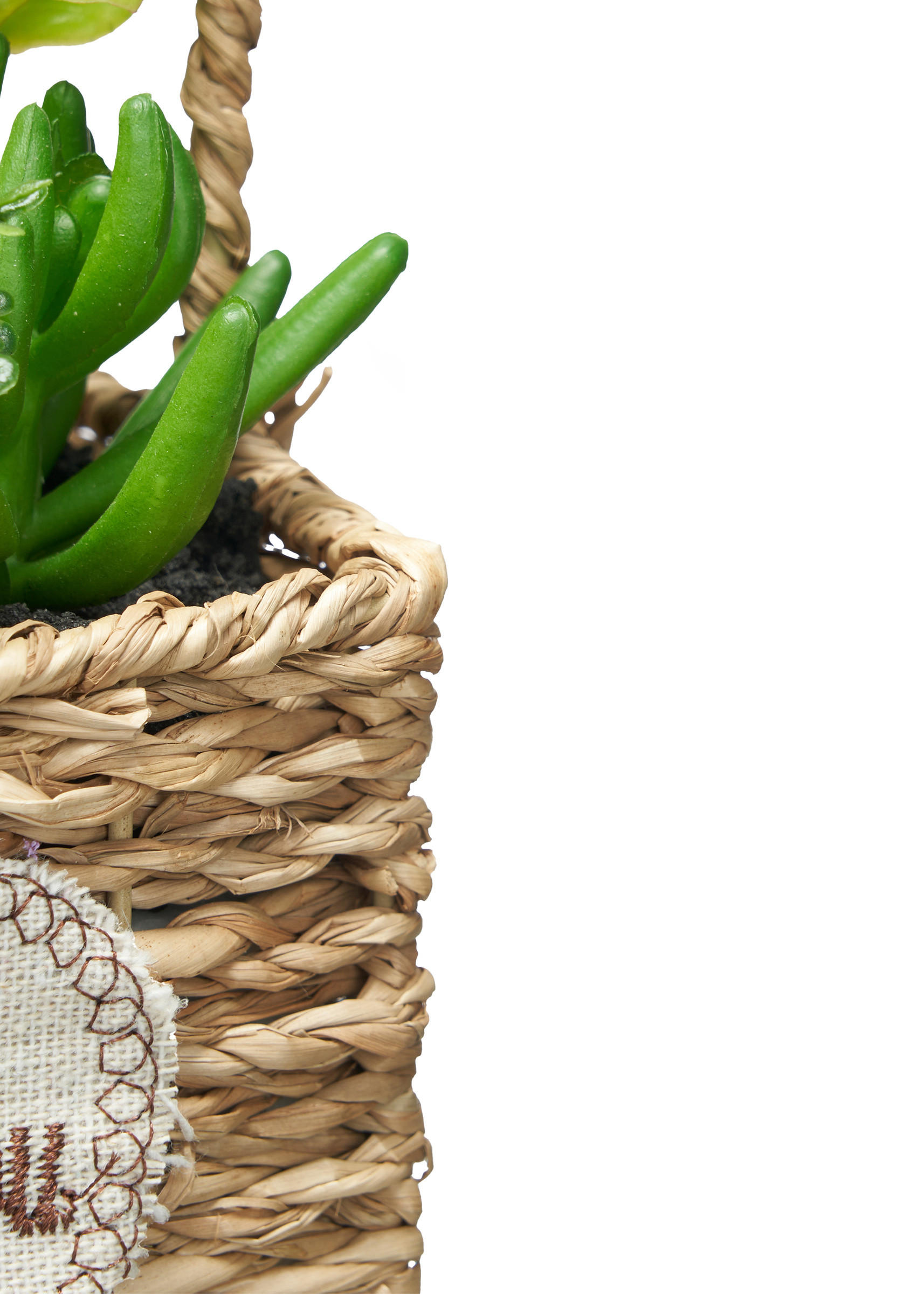 KÜNSTLICHE SUKKULENTEN Love 12/21 cm - Multicolor, Naturmaterialien (21cm) - Ibergarden