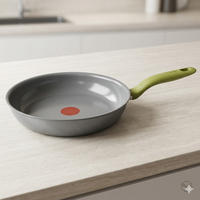 BRATPFANNE Ceramic Control 26 cm Grau Grün Keramikbeschichtung induktionsgeeignet - Grau/Grün, Kunststoff/Metall (26cm) - Tefal