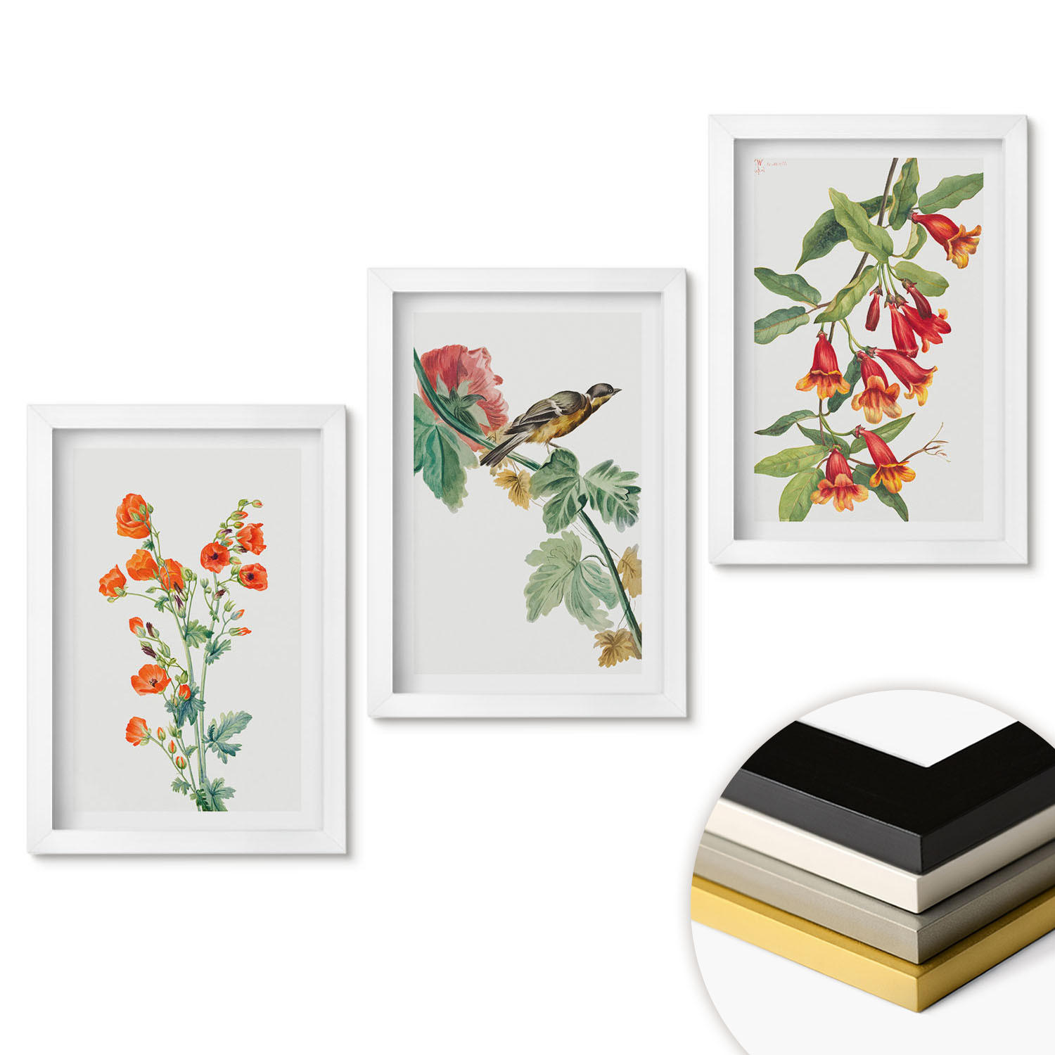 WANDBILDER 3er-Set - 20x30 cm Weißer Rahmen - Gemalte Blumen und ein Vogel - Weiß, Kunststoff (20/30cm) - ArtPrintCave