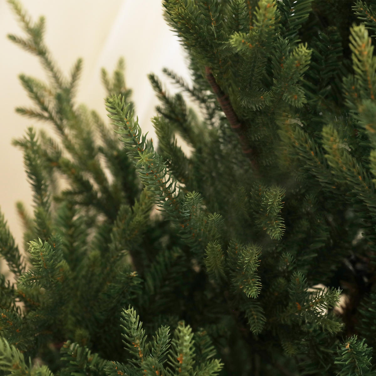 WEIHNACHTSBAUM 180cm, Metallsockel, Grün - Grün, Kunststoff (180cm) - HOMCOM