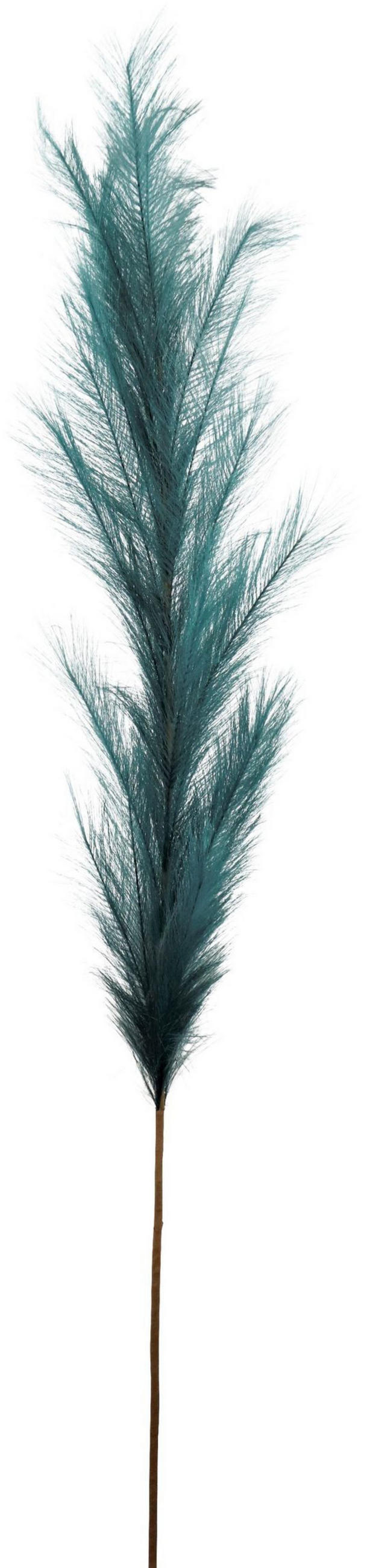 ZIERFEDER Petrol 170 cm - Blau, Textil (0.01/170/1cm) - FURNARO