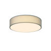 DECKENLEUCHTE Velsom 1-Flammig 30/30/5 cm - Grün, Kunststoff (30/30/5cm) - ZMH