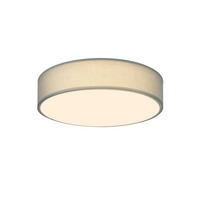 DECKENLEUCHTE Velsom 1-Flammig 30/30/5 cm - Grün, Kunststoff (30/30/5cm) - ZMH