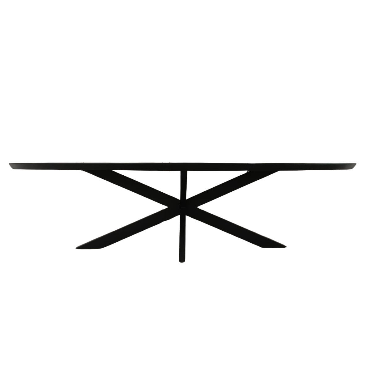 ESSTISCH Brandy Schwarz 120/300/76 cm - Schwarz, Holz (120/300/76cm) - Starfurn