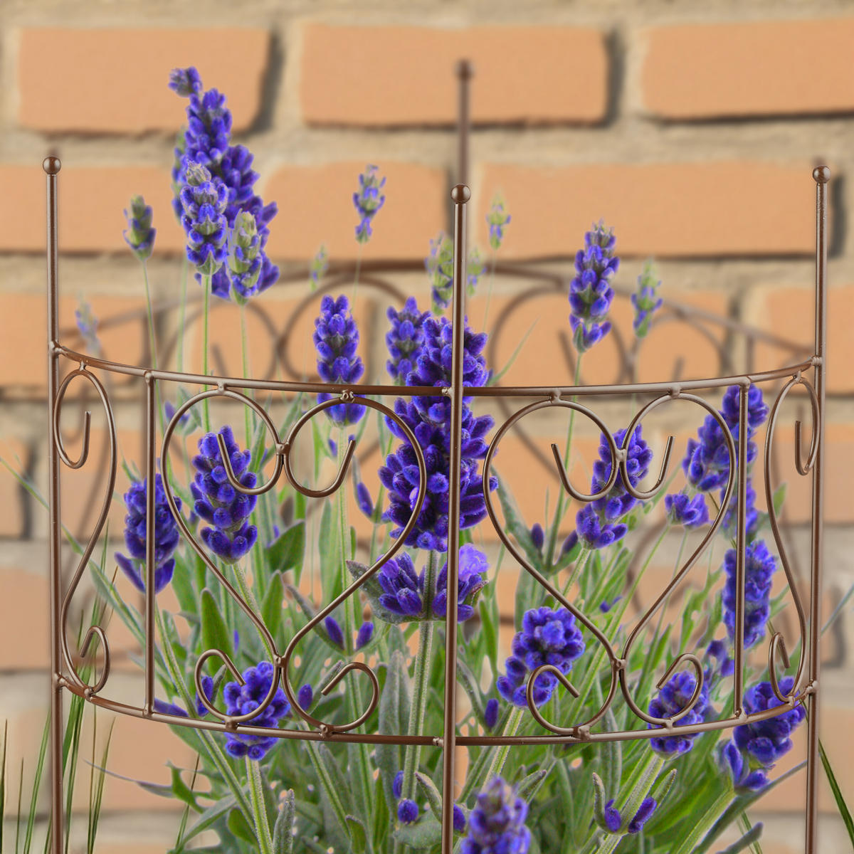 STAUDENHALTER halbrund - Bronzefarben, Metall (31/41.5/14.5cm) - Relaxdays