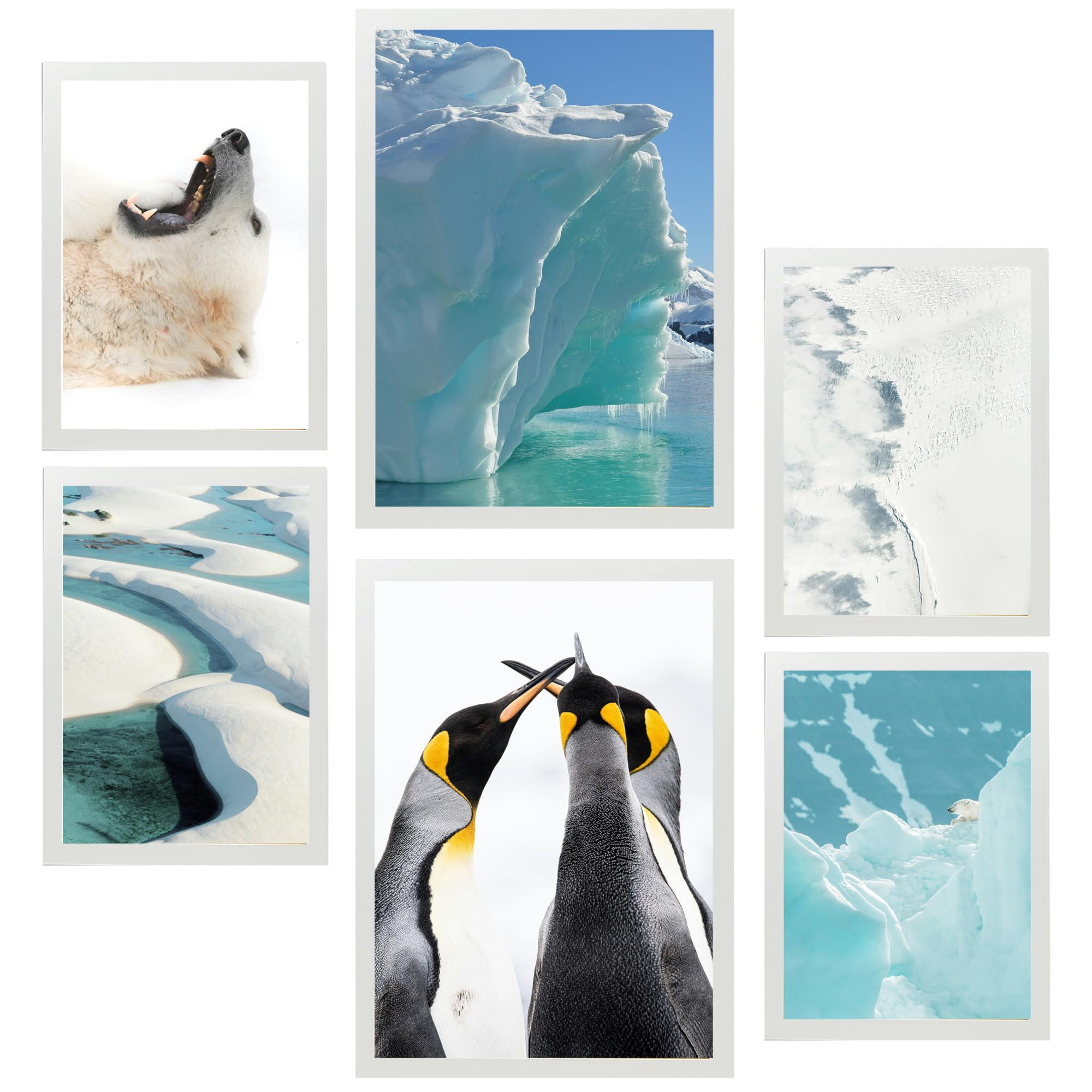 POSTER Set Mit 6 Eis In Der Antarktis Bär & Pinguine Im Türkisfarbenen Wasser A3 & A4 Weißer Rahmen - Weiß, Papier (29/3cm) - Nacnic