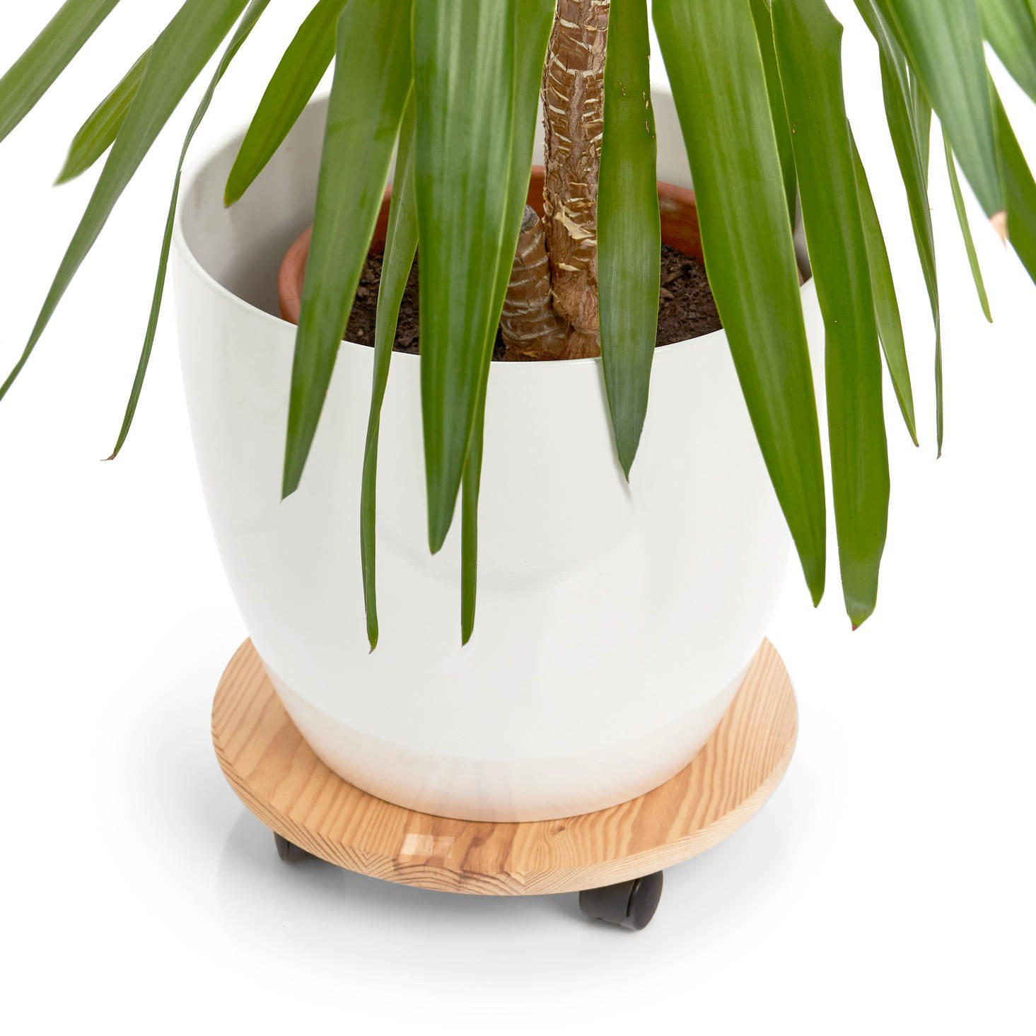 BLUMENTOPF Zeller rund Ø35 cm - Beige, Holz (35/35cm) - ZELLER