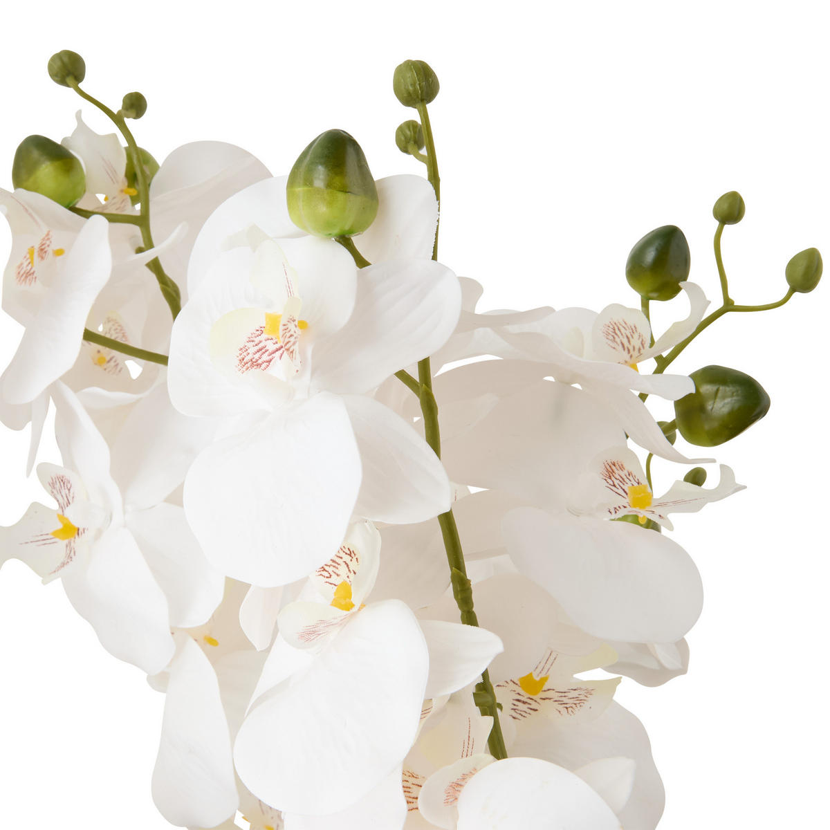 ORCHIDEE im goldenen Topf Sanae 60/25/65 cm - Weiß, Kunststoff (65cm) - Atmosphera Createur d´interieur