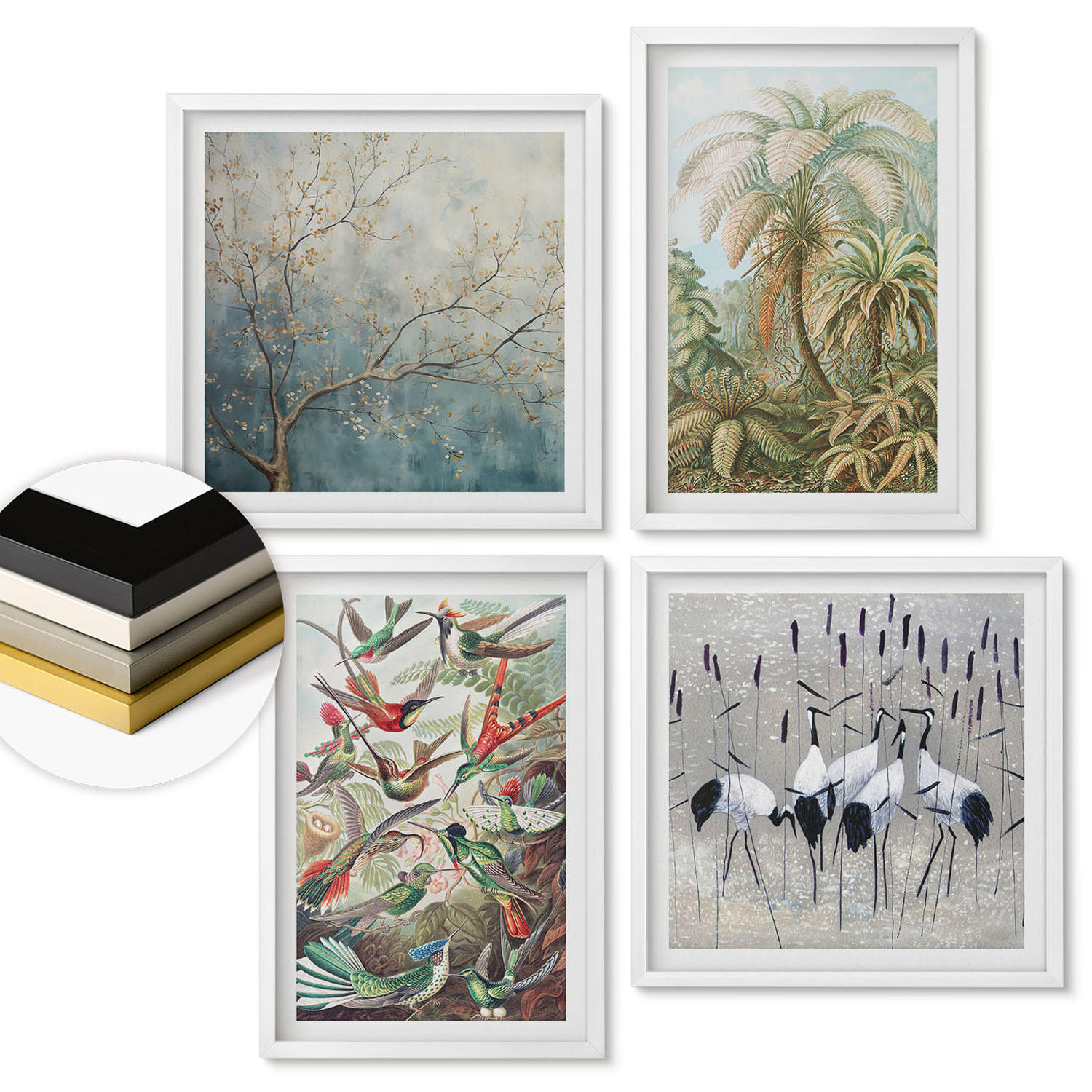 WANDBILDER 4er-Set - 50x50 cm & 40x60 cm Weißer Rahmen - Tropische Pflanzen, Vögel, Natur - Weiß, Kunststoff (50/50cm) - ArtPrintCave