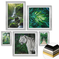 WANDBILDER 5er Set - 50x50 cm & 20x30 cm & 40x60 cm Silberner Rahmen - Dschungel-Weißtiger-Wasserfall - Silberfarben, Kunststoff (40/60cm) - ArtPrintCave