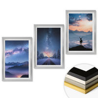 WANDBILDER 3er Set - 40x60 cm Silberner Rahmen - Nachthimmel Berge Nebel Hirsch - Silberfarben, Kunststoff (40/60cm) - ArtPrintCave