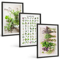 BILDER SET 3er Set - 40x60 cm Schwarzer Rahmen - Getrocknete Kräuter für die Küche - Schwarz, Kunststoff (40/60cm) - TULUP