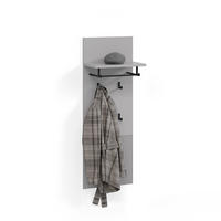 WANDGARDEROBE Aterno Grau 43 x 120 cm - Grau, Holzwerkstoff (43/120/27cm) - Livinity®