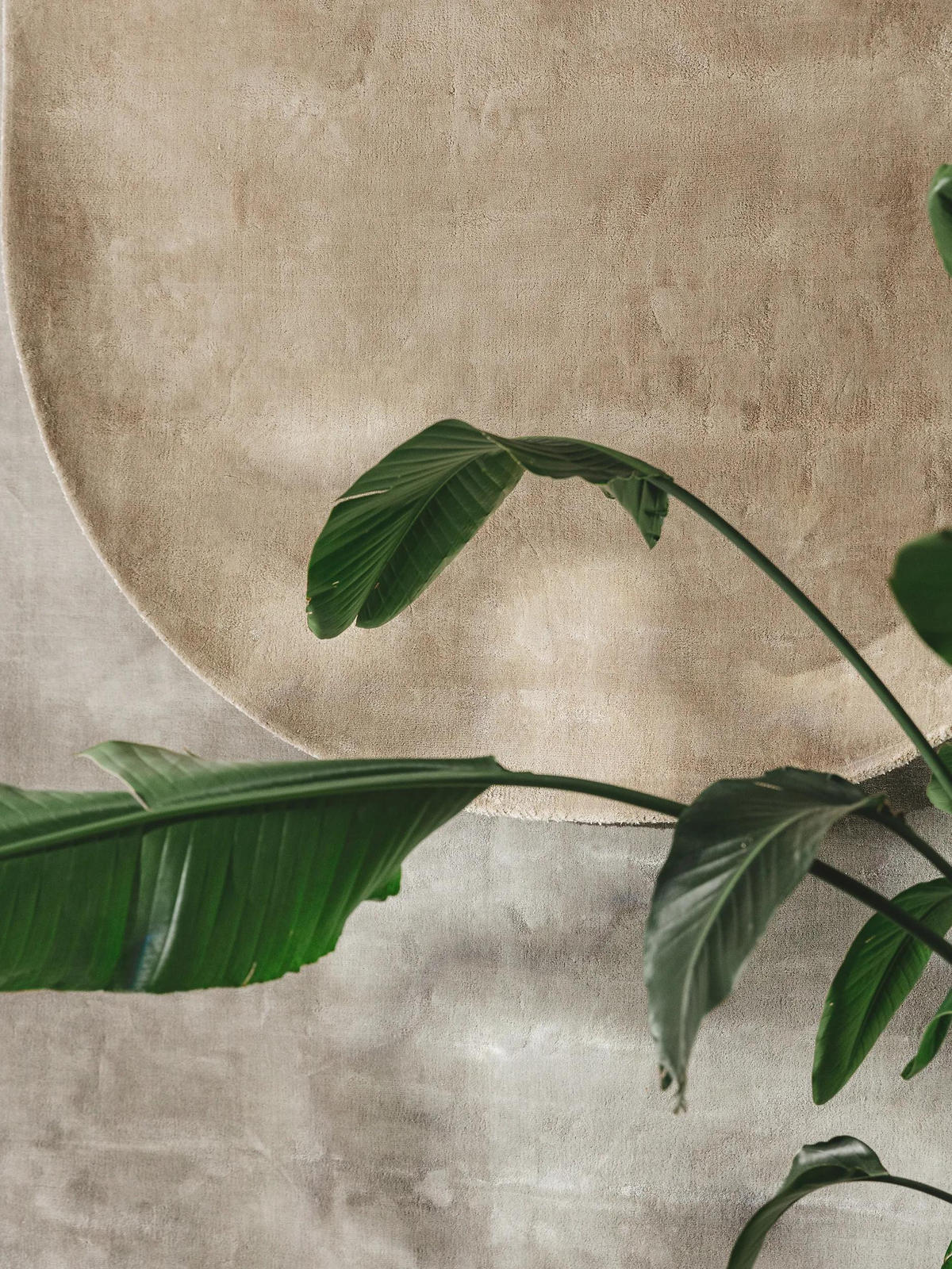 VISKOSETEPPICH OVAL Nela Taupe 150x230 cm - Taupe, Textil (150/230cm) - benuta Pure