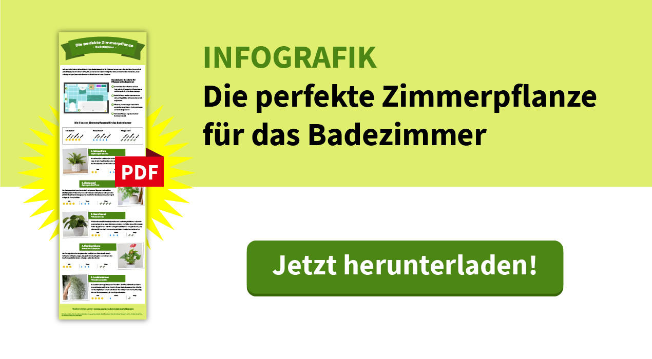 Download Infografik Badezimmer, Die passende Pflanze für jedes Zimmer XXXLutz