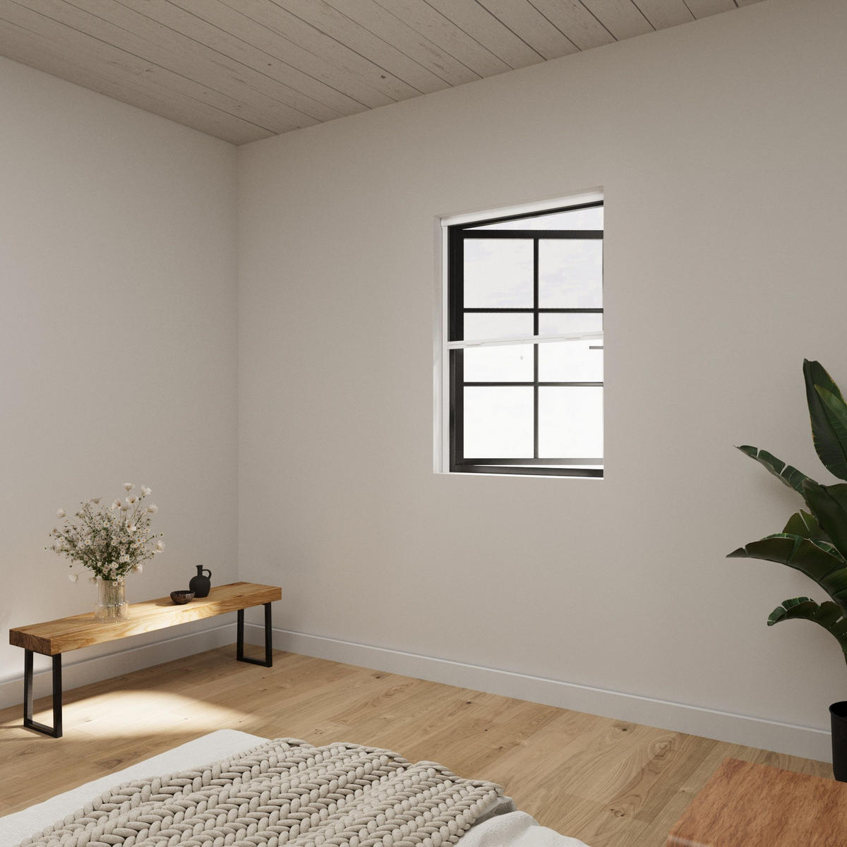 INSEKTENSCHUTZROLLO mit Kassette weiß - Weiß, Kunststoff (120/150/3.7cm) - Cocoon Home Concepts