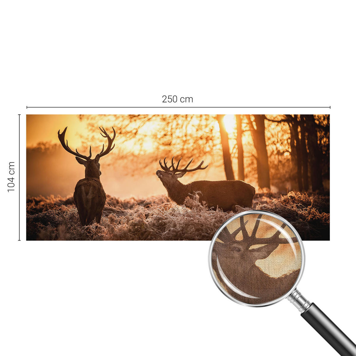 FOTOTAPETE 250x104 cm - Rehe am Morgen - Schwarz, Textil (250/104cm) - Wallfluent