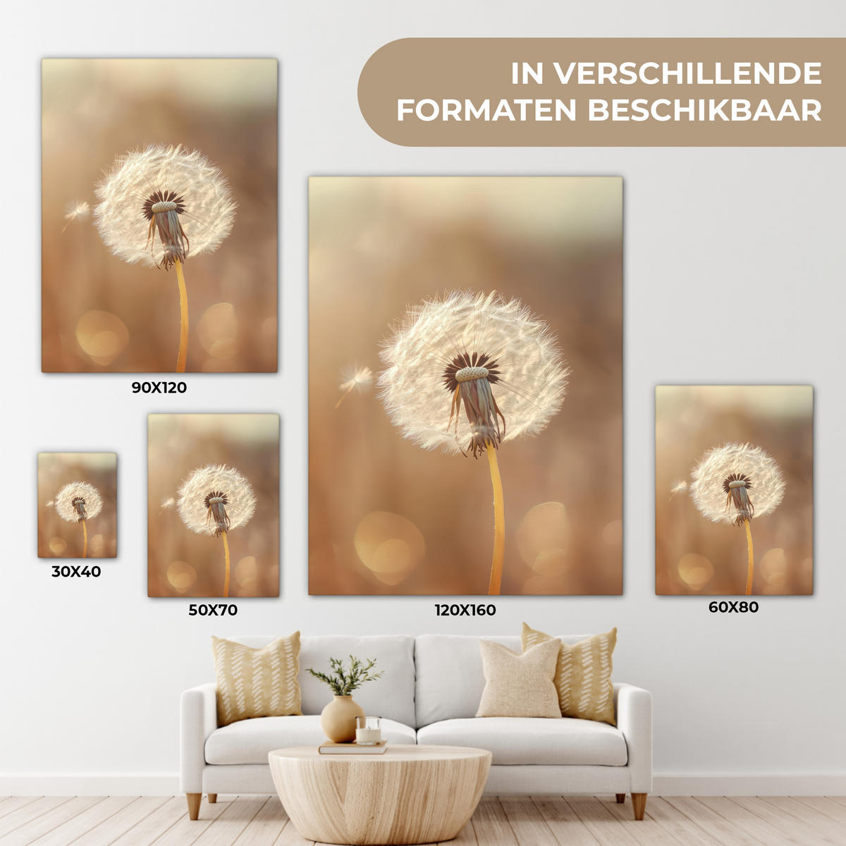 LEINWANDBILD Löwenzahn - Beige - Natur - Blume Room Decor 30x40 cm - Hellbraun, Textil (30/40cm) - MuchoWow