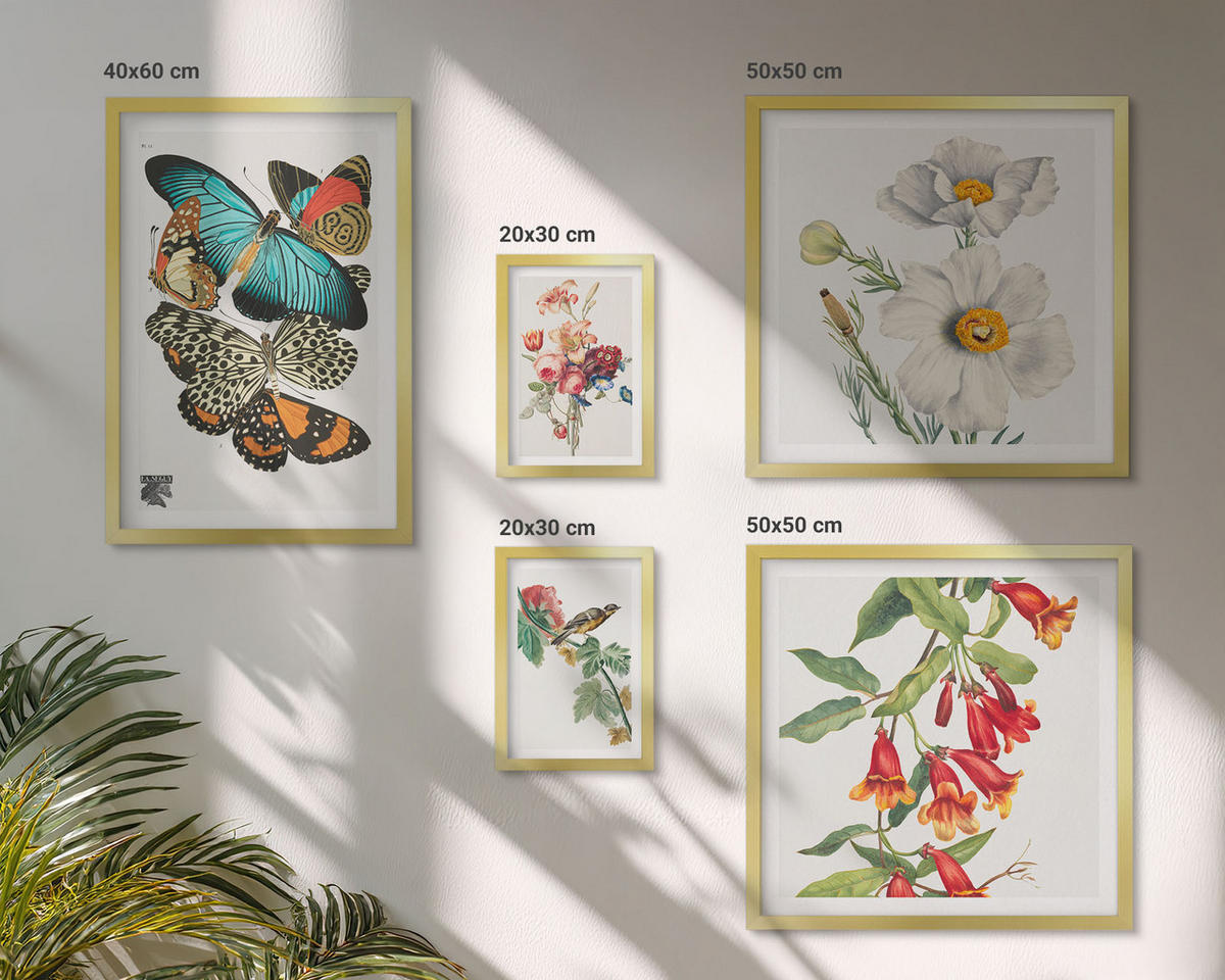 BILDER SET 5er Set - 50x50 cm & 20x30 cm & 40x60 cm Goldrahmen - Blumen, Schmetterlinge, Vögel, Pastellfarben - Goldfarben, Kunststoff (40/60cm) - TULUP