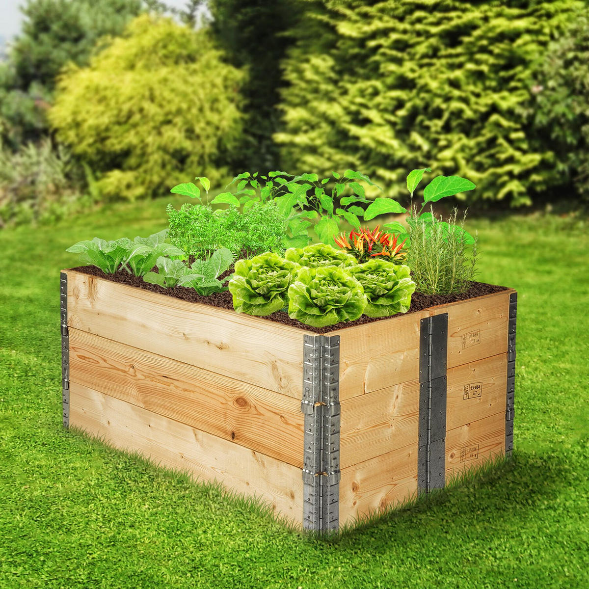 HOCHBEET 3er Set, 120 x 80 x 19 cm, holzdekor - Eiche Artisan, Holz (80/19/120cm) - tectake