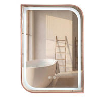 SPIEGEL Rea Led Zone 70x50 Brush Rose Gold - Goldfarben, Glas (50/70/2.5cm) - REA