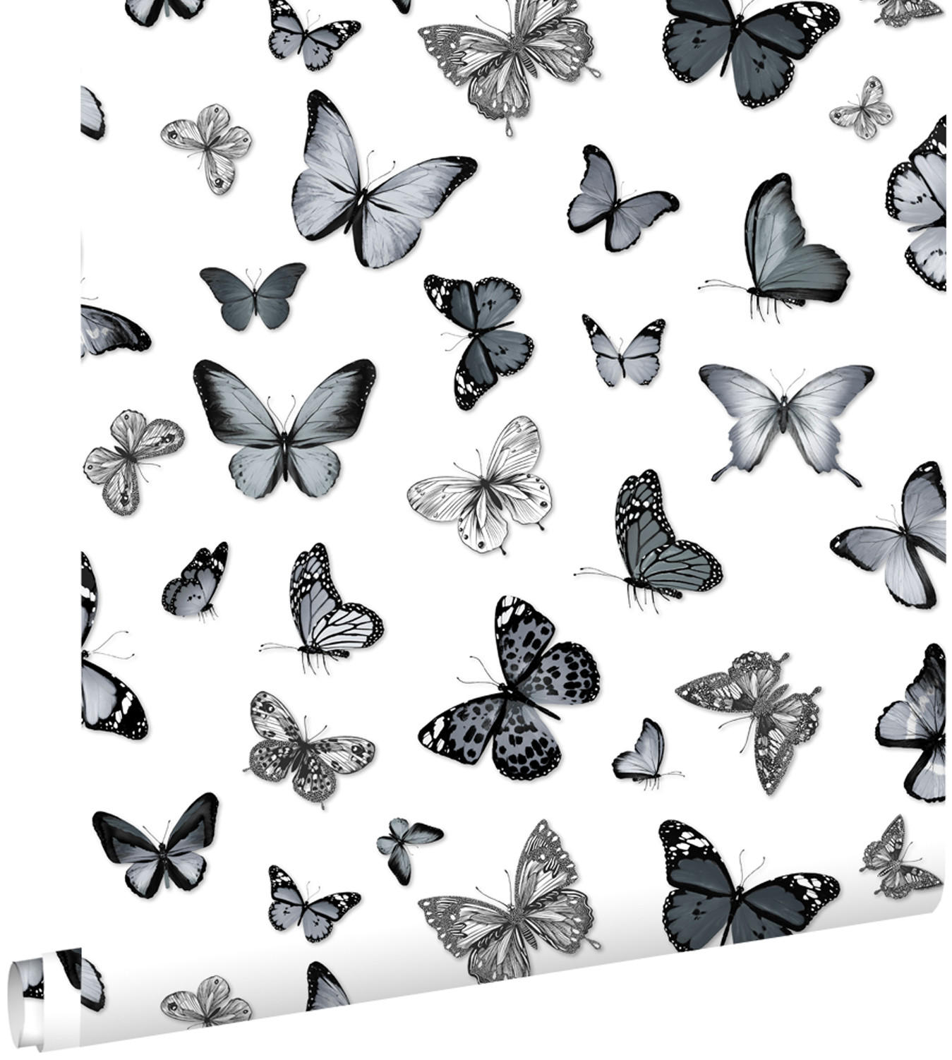 TAPETE Schmetterlinge 53 cm x 10.05 m - Schwarz, Papier (53/1000cm) - ESTAhome