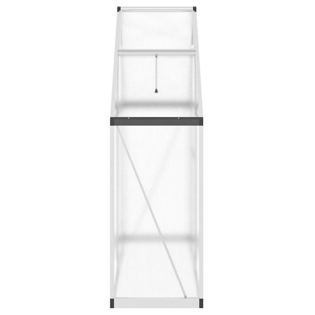 GEWÄCHSHAUS mit Fundamentrahmen 169/58/195 cm, aus Aluminium, Silbern - Silberfarben, Metall (58/195/169cm) - vidaXL