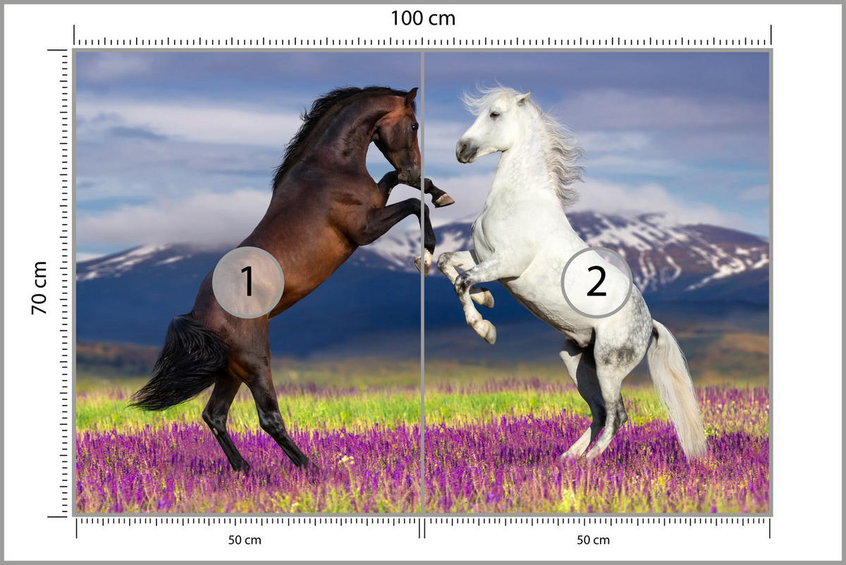 FOTOTAPETE für Esszimmer Pferde Lavendelfeld Berge Provence 100x70 - Beige/Violett, Papier (100/70cm) - Muralo