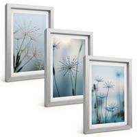 BILDER SET 3er Set - 20x30 cm Silberner Rahmen - Löwenzahn mit Wassertropfen - Silberfarben, Kunststoff (20/30cm) - TULUP